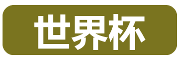 世界杯
