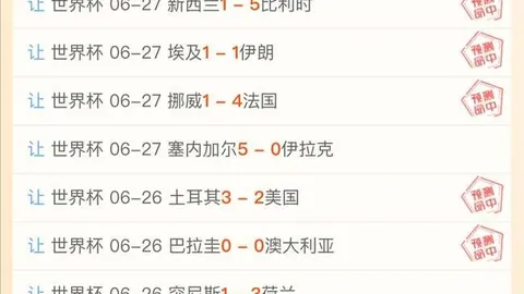 赛场亮点频出火花，世界杯赛程，队助力第三名梦想队抢断力冠群芳